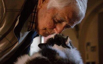 Four-Legged Friends: How Pets for Seniors Improve Well-Being in Retirement